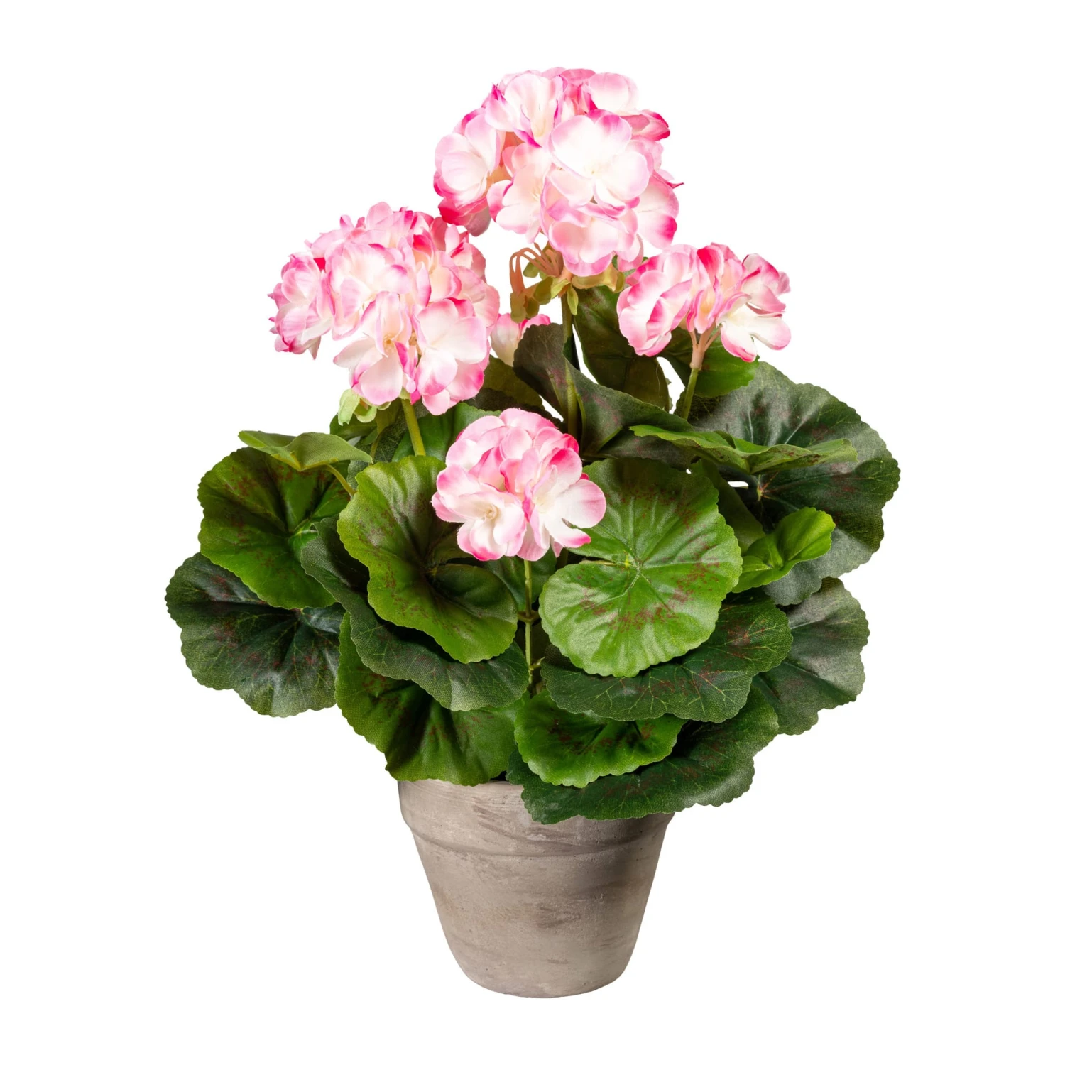 Deko-Pflanze Geranienbusch In Rosa-weiß